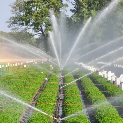 Crop Irrigation